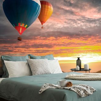 WALL MURAL HOT AIR BALLOON FLIGHT OVER THE MOUNTAINS - WALLPAPERS NATURE - WALLPAPERS