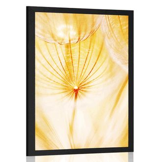 POSTER DANDELION IN YELLOW DESIGN - FLOWERS - POSTERS