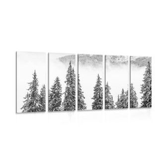 5-PIECE CANVAS PRINT SNOWY PINE TREES IN BLACK AND WHITE - BLACK AND WHITE PICTURES - PICTURES