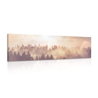Wandbild Nebel über dem Wald