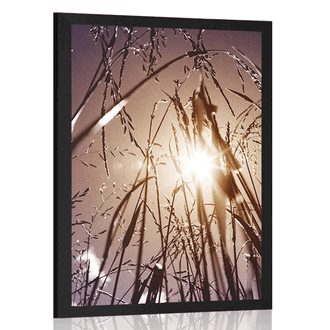 AFFICHE CHAMP HERBE - NATURE - AFFICHES