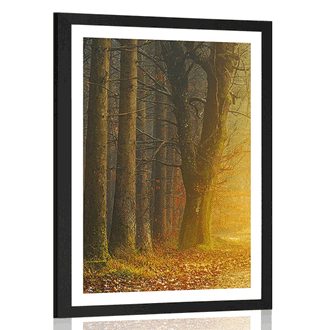 POSTER MIT PASSEPARTOUT WEG IM WALD - NATUR - POSTER