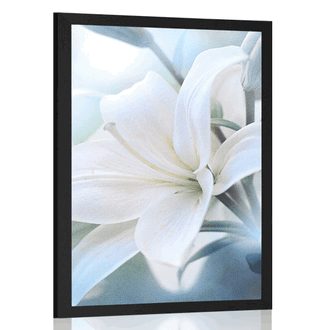 POSTER WHITE LILY FLOWER ON AN ABSTRACT BACKGROUND - FLOWERS - POSTERS