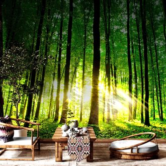 PAPIER PEINT PANORAMIQUE – FRAÎCHEUR DE LA FORÊT - 🔥 VENTE TOTALE 🔥