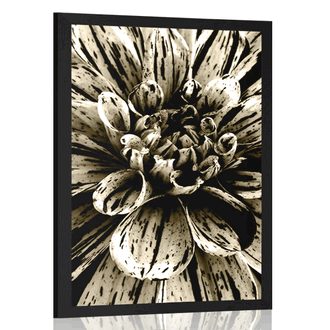 AFFICHE DAHLIA EXOTIQUE DANS UN DESIGN SÉPIA - NOIR ET BLANC - AFFICHES