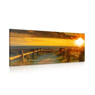 ΕΙΚΌΝΑ ΣΥΝΑΡΠΑΣΤΙΚΌ ΗΛΙΟΒΑΣΊΛΕΜΑ - 🔥 ΣΥΝΟΛΙΚΉ ΠΏΛΗΣΗ🔥