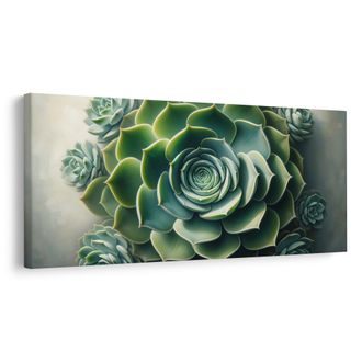 OBRAZ KRÁSA SUKULENTU - BOTANICKÉ OBRAZY - OBRAZY