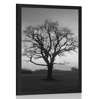 Plakát okouzlující strom v černobílém provedení