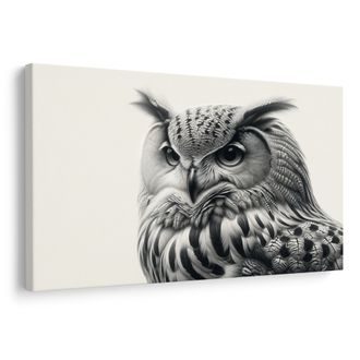 OBRAZ ČERNOBÍLÝ PORTRÉT SOVY - OBRAZY PTÁCI - OBRAZY