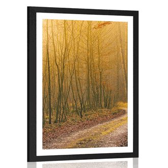 POSTER MIT PASSEPARTOUT WEG IN DEN WALD - NATUR - POSTER