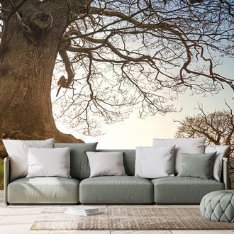 SELF ADHESIVE WALL MURAL SYMBIOSIS OF TREES - SELF-ADHESIVE WALLPAPERS - WALLPAPERS