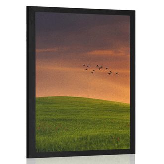 POSTER TREE ON THE MEADOW - NATURE - POSTERS