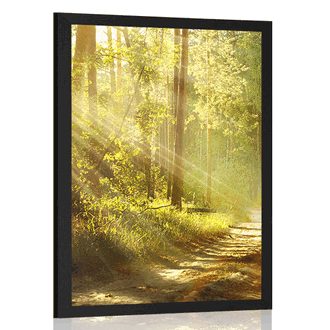 AFFICHE AVEC MONTURE LES RAYONS DU SOLEIL DANS LA FORÊT - NATURE - AFFICHES