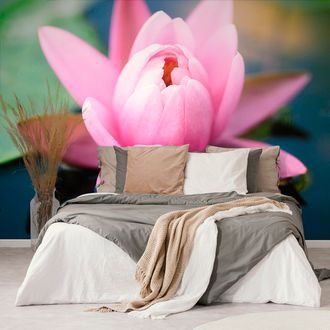 WALL MURAL BEAUTIFUL PINK FLOWER ON THE LAKE - WALLPAPERS FLOWERS - WALLPAPERS