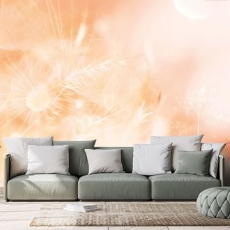 CARTA DA PARATI AUTOADESIVA – DENTE DI LEONE AL SORGERE DEL SOLE PEACH FUZZ - CARTA DA PARATI AUTOADESIVE - CARTA DA PARATI