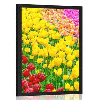 POSTER GARTEN VOLLER TULPEN - BLUMEN - POSTER