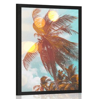 Plakát paprsky slunce mezi palmami