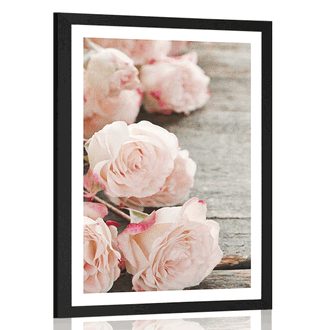 POSTER MIT PASSEPARTOUT ROMANTISCHE ROSEN - BLUMEN - POSTER