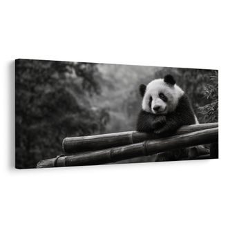 WANDBILD RUHIGER PANDA IN DER NATUR - BILDER TIERE - BILDER