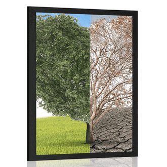 POSTER TREE IN TWO FORMS - NATURE - POSTERS