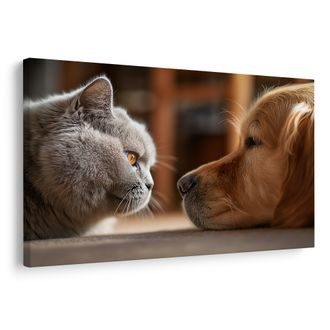 TABLOU PRIVIREA PISICII ȘI PRIETENIA CÂINELUI - TABLOURI ANIMALE - TABLOURI