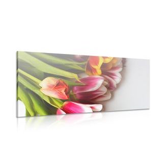 CANVAS PRINT BOUQUET OF COLORFUL TULIPS - PICTURES FLOWERS - PICTURES