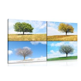 OBRAZ STROM V ROČNÍCH OBDOBÍCH - OBRAZY PŘÍRODY A KRAJINY - OBRAZY