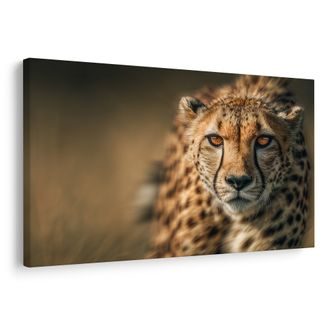 OBRAZ ELEGANCE AFRICKÉHO GEPARDA - OBRAZY LVI A TYGŘI - OBRAZY