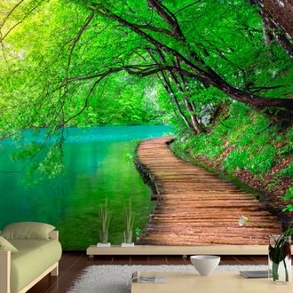 Samolepiaca tapeta drevený chodník lesom - Green peace