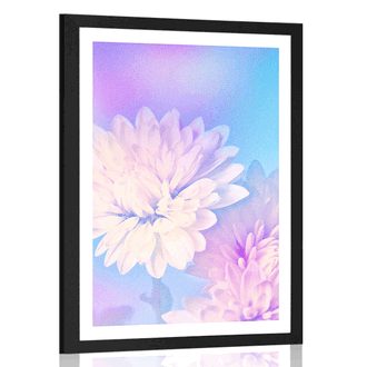 POSTER MIT PASSEPARTOUT CHRYSANTHEMENBLÜTEN - BLUMEN - POSTER