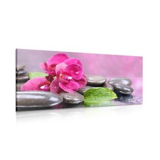 CANVAS PRINT ORCHID WITH A HINT OF RELAXATION - PICTURES FENG SHUI - PICTURES