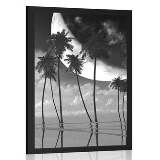 AFFICHE COUCHER DE SOLEIL SUR LES PALMIERS TROPICAUX EN NOIR ET BLANC - NOIR ET BLANC - AFFICHES