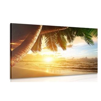 CANVAS PRINT SUNRISE ON A CARIBBEAN BEACH - PICTURES OF NATURE AND LANDSCAPE - PICTURES