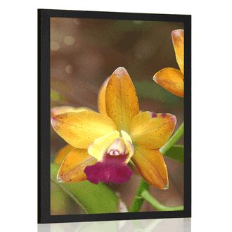 POSTER ORANGE ORCHIDEE - BLUMEN - POSTER