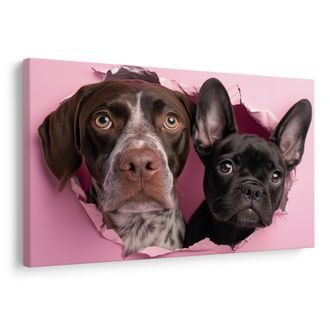 OBRAZ PSI ZVĚDAVOST V RŮŽOVÉ - OBRAZY PSI - OBRAZY