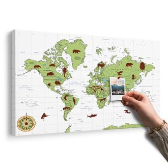 OBRAZ NA KORKU MAPA SE ZVÍŘATY - OBRAZY NA KORKU - OBRAZY