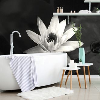 SELF ADHESIVE WALLPAPER BLACK AND WHITE WATER LILY - SELF-ADHESIVE WALLPAPERS - WALLPAPERS