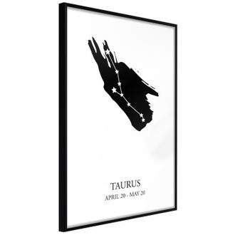 Plakát hvězdné znamení býk - Zodiac: Taurus