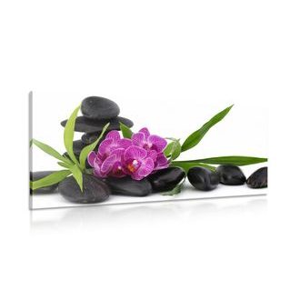 CANVAS PRINT PURPLE ORCHID IN A ZEN STILL LIFE - PICTURES FENG SHUI - PICTURES