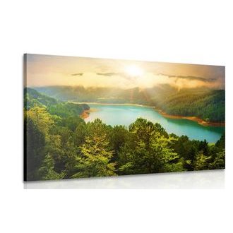 WANDBILD FLUSS INMITTEN EINES GRÜNEN WALDES - BILDER VON NATUR UND LANDSCHAFT - BILDER