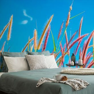 SELF ADHESIVE WALL MURAL WILD GRASS UNDER THE SKY - SELF-ADHESIVE WALLPAPERS - WALLPAPERS