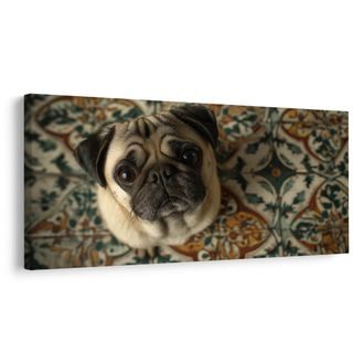 OBRAZ PSÍ POHLED NA ORNAMENTY - OBRAZY PSI - OBRAZY