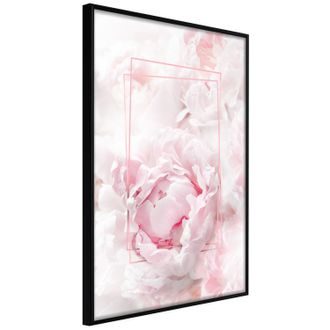 Plakat różowy sen
