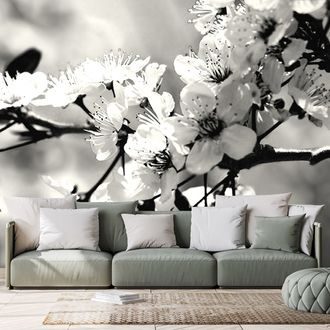 WALL MURAL BLACK AND WHITE CHERRY BLOSSOM - BLACK AND WHITE WALLPAPERS - WALLPAPERS