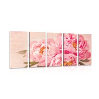 5-DÍLNÝ OBRAZ NĚŽNÁ PIVOŇKA - VINTAGE A RETRO OBRAZY - OBRAZY