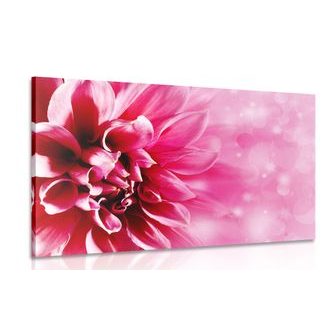 ΕΙΚΌΝΑ ΡΟΖ ΛΟΥΛΟΎΔΙ - ΠΊΝΑΚΕΣ ΑΠΌ ΛΟΥΛΟΎΔΙΑ - ΠΊΝΑΚΕΣ