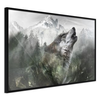 Plagát vlk v horách - Wolf's Territory