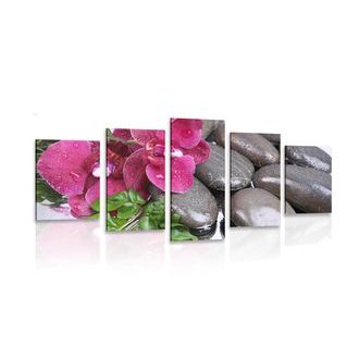 5-PIECE CANVAS PRINT BLOOMING ORCHID AND WELLNESS STONES - PICTURES FENG SHUI - PICTURES