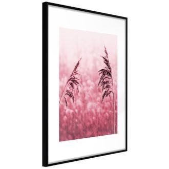 Plagát ružové steblá trávy - Amaranth Meadow