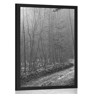 POSTER PATH TO THE FOREST - BLACK AND WHITE - POSTERS